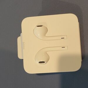 Apple ear buds for iPhone